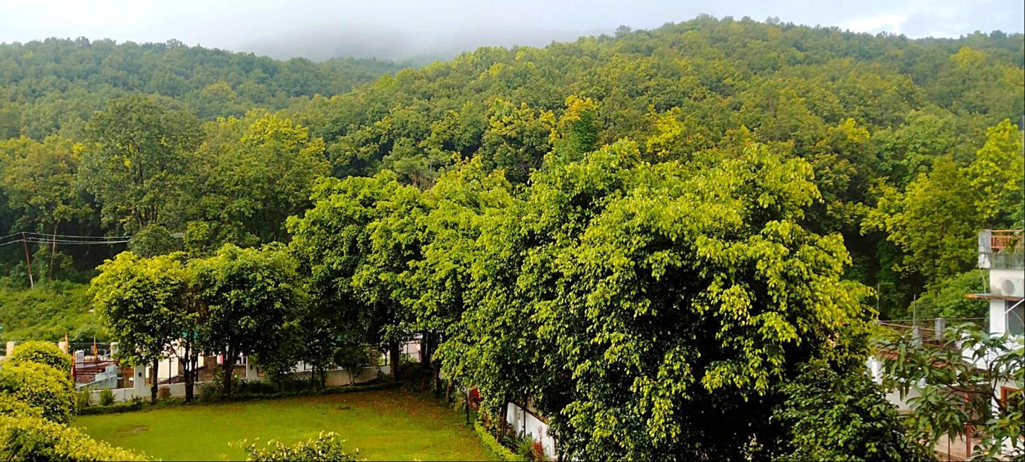 Hotel Jungle View Retreat Dehradun Exterior foto